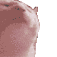 Hi! banner
